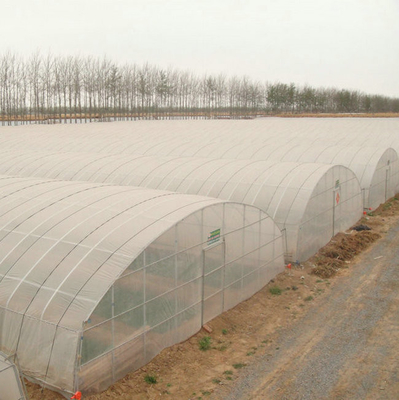9x30m Plastic Tunnel Greenhouse Covered Plastic Film For Vegetable Growing