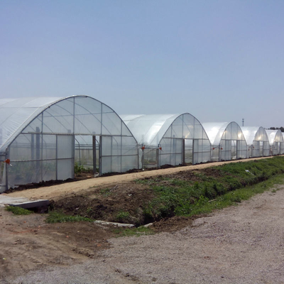 9x30m Plastic Tunnel Greenhouse Covered Plastic Film For Vegetable Growing